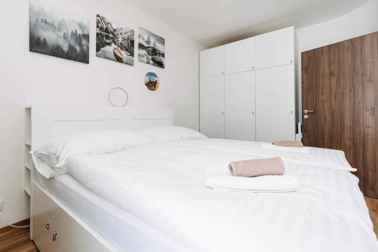Horsky Apartman Temari 14 Klinovec Loučná pod Klínovcem エクステリア 写真
